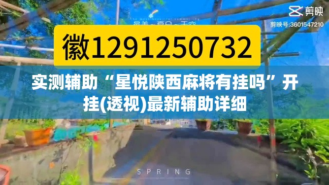 实测辅助“星悦陕西麻将有挂吗”开挂(透视)最新辅助详细