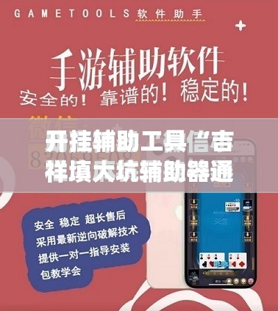 开挂辅助工具“吉祥填大坑辅助器通用版”开挂(透视)最新辅助详细