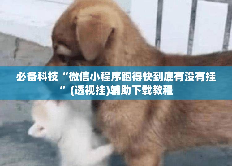 必备科技“微信小程序跑得快到底有没有挂	”(透视挂)辅助下载教程