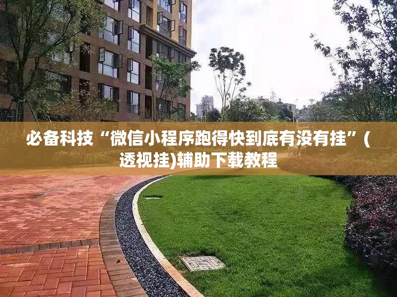 必备科技“微信小程序跑得快到底有没有挂”(透视挂)辅助下载教程