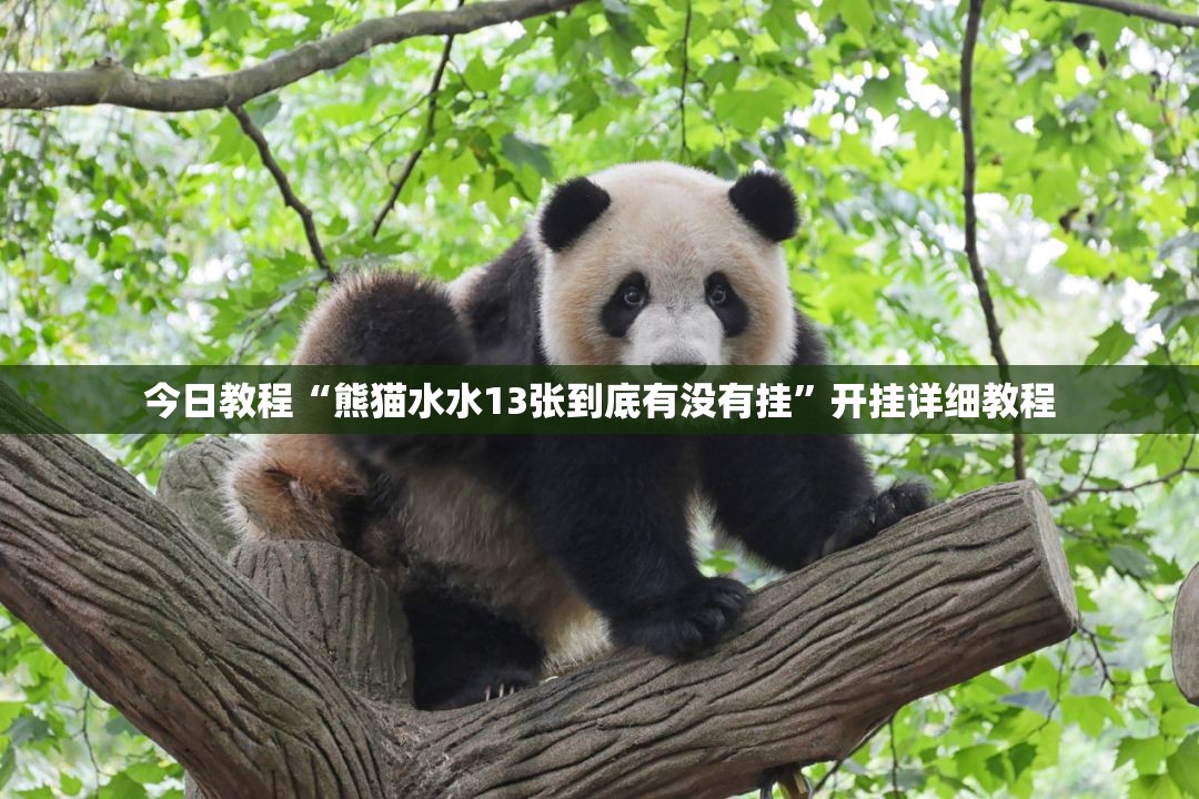 今日教程“熊猫水水13张到底有没有挂”开挂详细教程