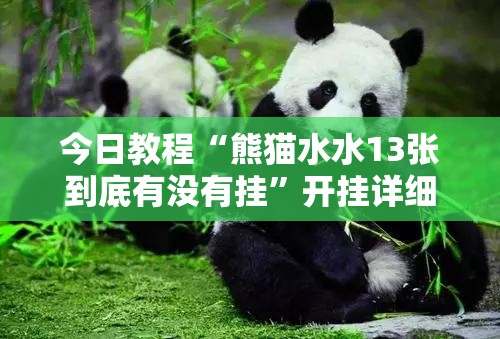 今日教程“熊猫水水13张到底有没有挂	”开挂详细教程