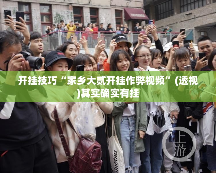 开挂技巧“家乡大贰开挂作弊视频	”(透视)其实确实有挂