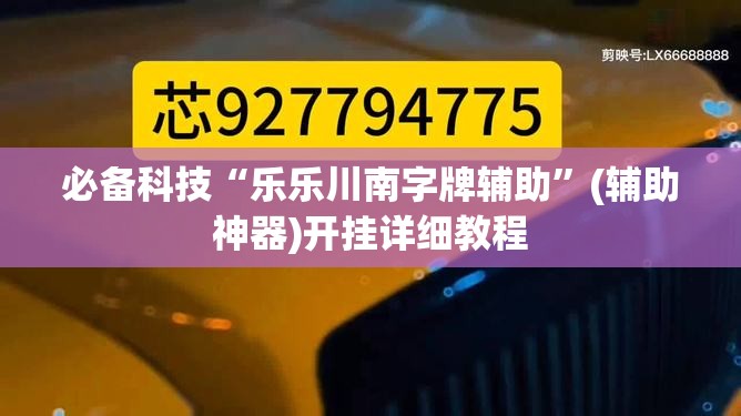 必备科技“乐乐川南字牌辅助”(辅助神器)开挂详细教程