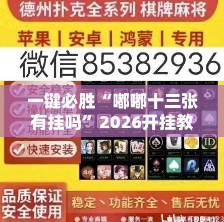 一键必胜“嘟嘟十三张有挂吗”2026开挂教程步骤