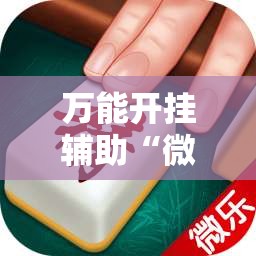 万能开挂辅助“微乐南昌麻将怎么开免费的挂”2026开挂教程步骤
