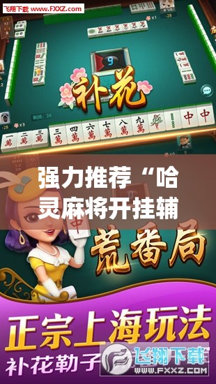 强力推荐“哈灵麻将开挂辅助器通用版(透视)”开挂辅助脚本+详细开挂安装教程