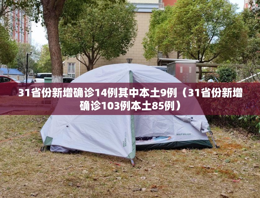 31省份新增确诊14例其中本土9例（31省份新增确诊103例本土85例）