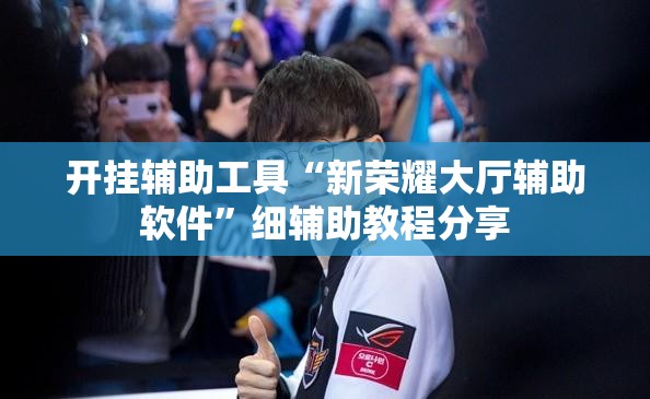开挂辅助工具“新荣耀大厅辅助软件”细辅助教程分享