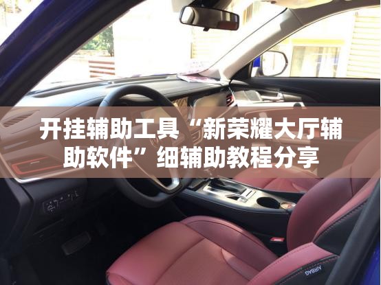 开挂辅助工具“新荣耀大厅辅助软件	”细辅助教程分享