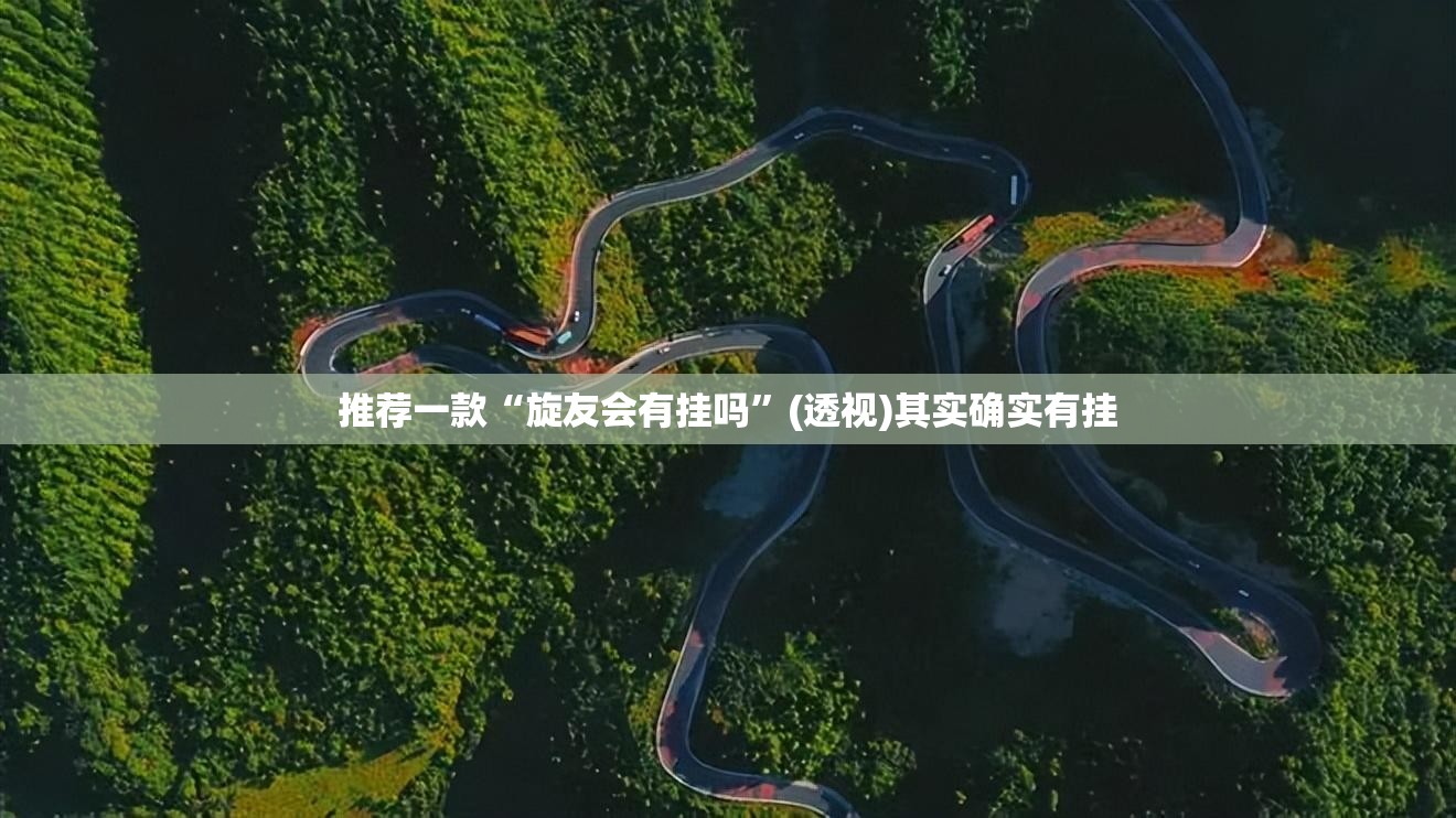 推荐一款“旋友会有挂吗”(透视)其实确实有挂