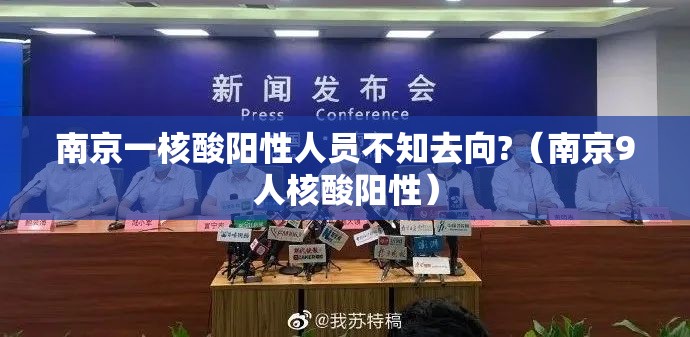 南京一核酸阳性人员不知去向?(南京9人核酸阳性) 南京一核酸阳性人员不知去向?(南京9人核酸阳性)