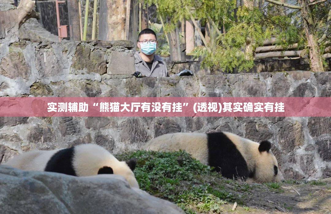 实测辅助“熊猫大厅有没有挂”(透视)其实确实有挂