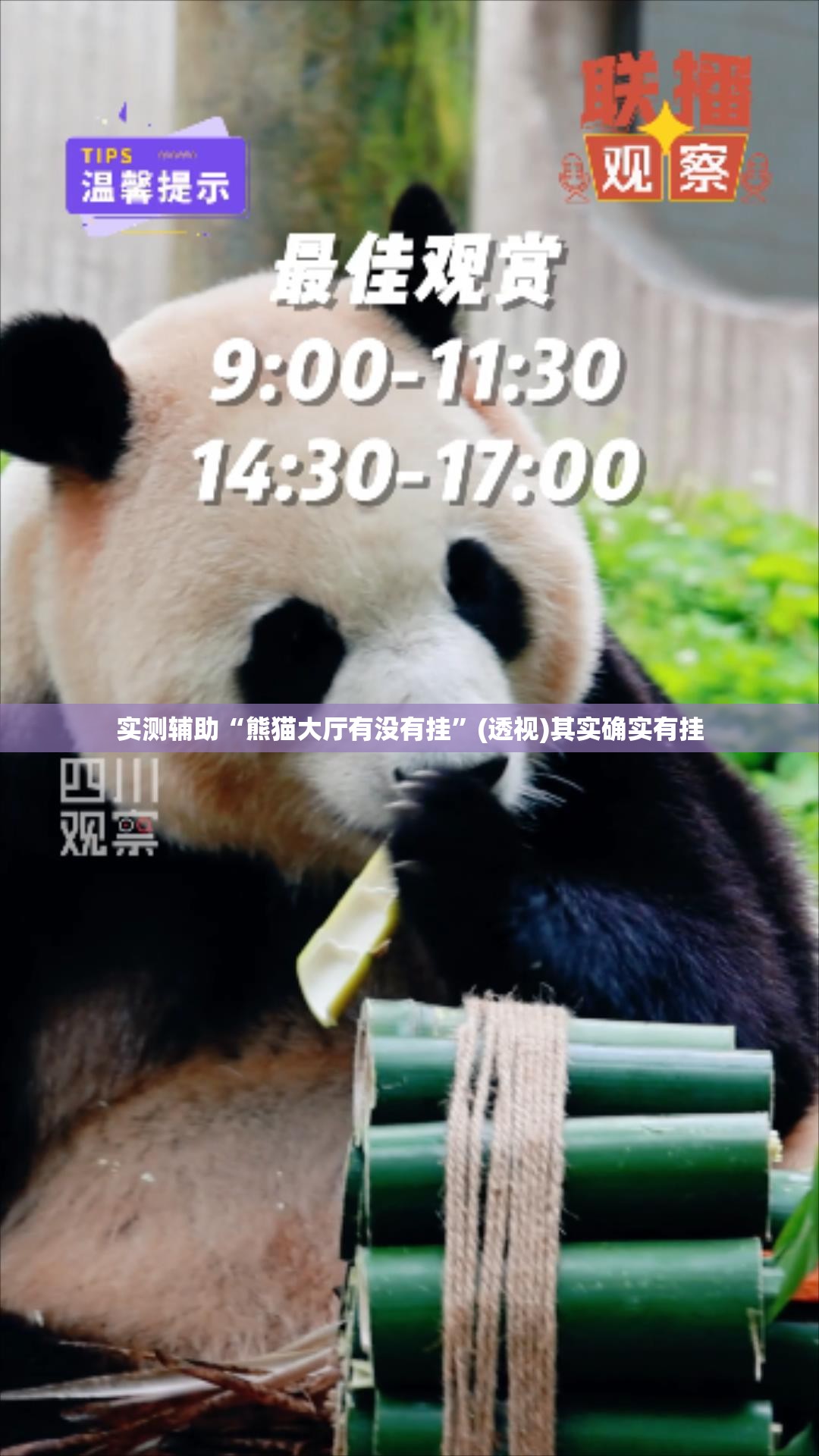 实测辅助“熊猫大厅有没有挂	”(透视)其实确实有挂