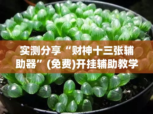 实测分享“财神十三张辅助器	”(免费)开挂辅助教学(最新辅助开挂教程)