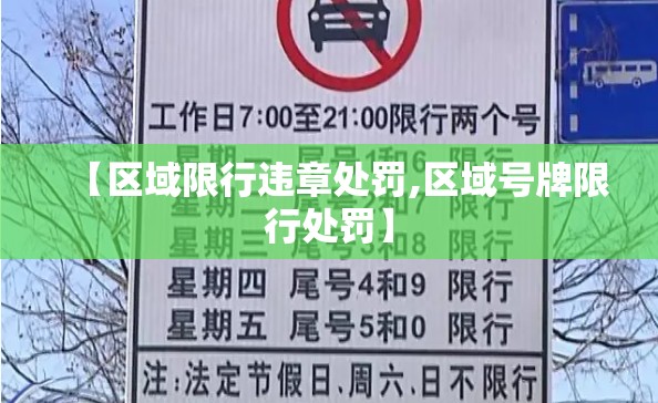 【区域限行违章处罚,区域号牌限行处罚】