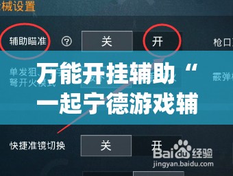 万能开挂辅助“一起宁德游戏辅助器”开挂(透视)辅助教程