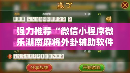 强力推荐“微信小程序微乐湖南麻将外卦辅助软件下载”详细分享装挂步骤