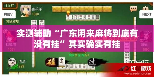 实测辅助“广东闲来麻将到底有没有挂”其实确实有挂