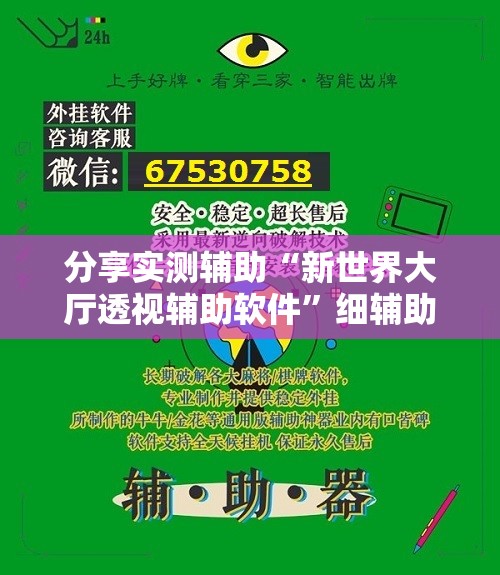 分享实测辅助“新世界大厅透视辅助软件	”细辅助教程分享