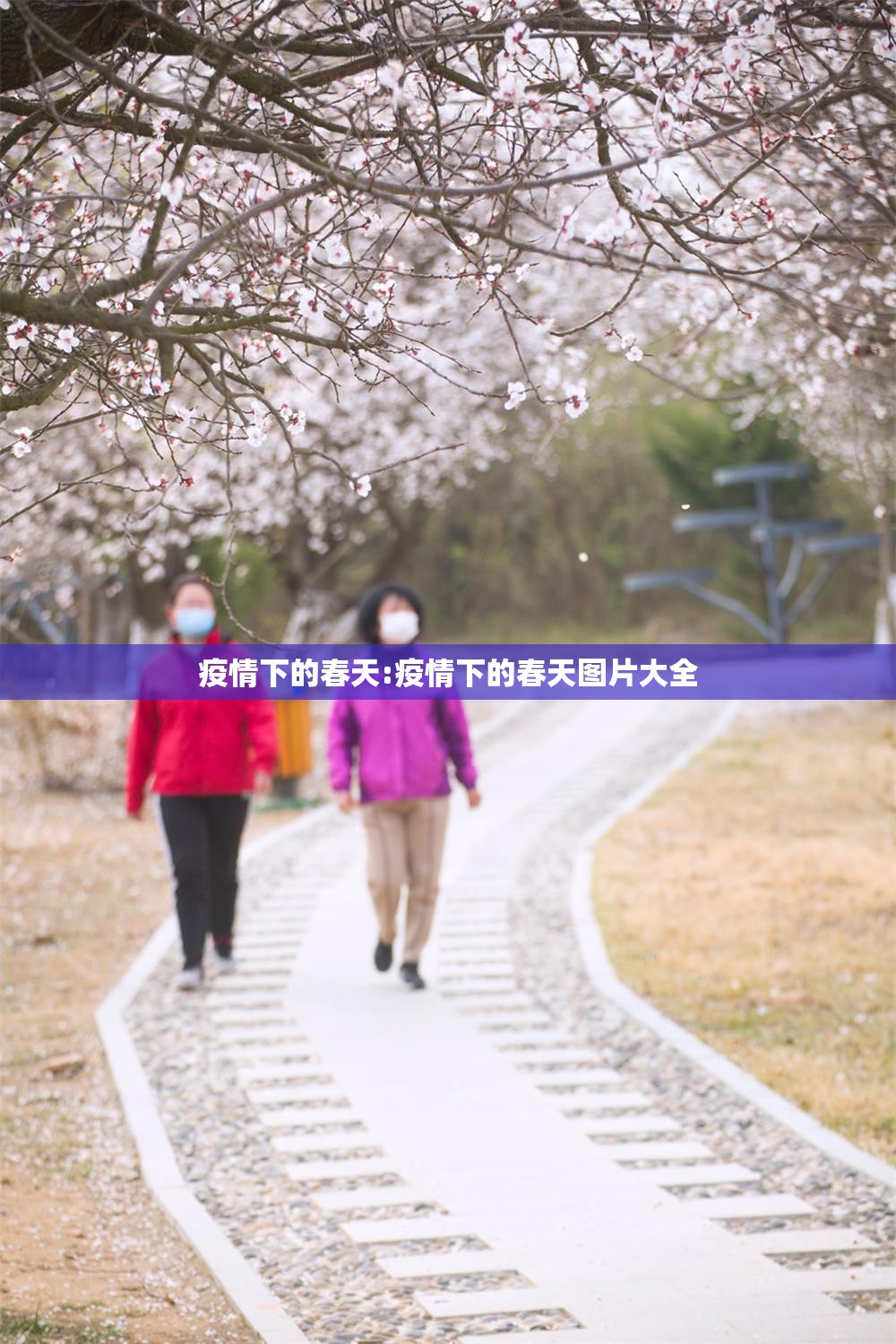 疫情下的春天:疫情下的春天图片大全
