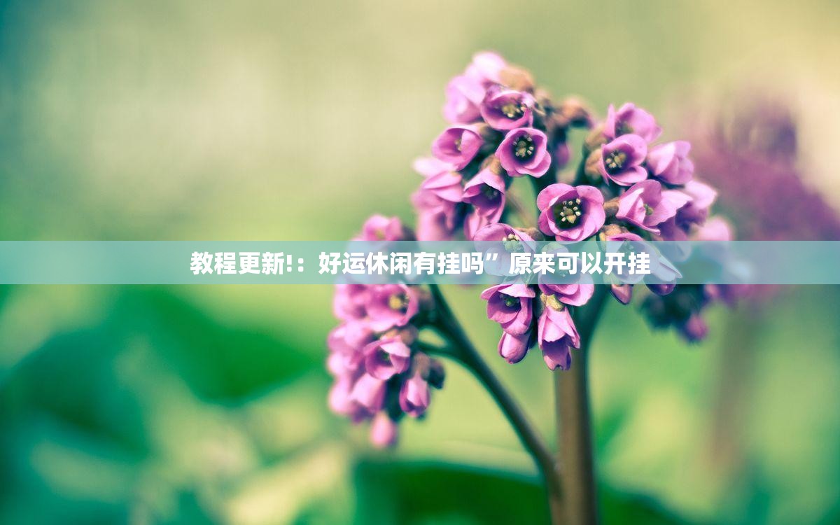 教程更新!：好运休闲有挂吗”原来可以开挂