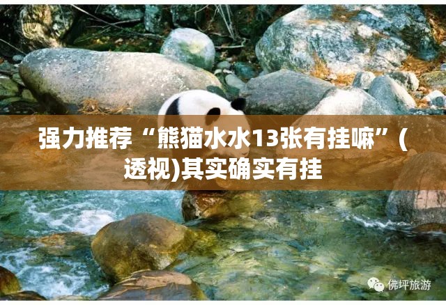 强力推荐“熊猫水水13张有挂嘛	”(透视)其实确实有挂