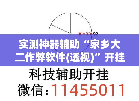 实测神器辅助“家乡大二作弊软件(透视)”开挂辅助脚本+详细开挂安装教程