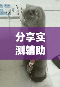 分享实测辅助“微信十三张有挂吗”(辅助神器)开挂详细教程