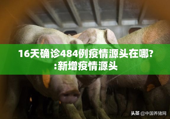 16天确诊484例疫情源头在哪?:新增疫情源头 16天确诊484例疫情源头在哪?:新增疫情源头