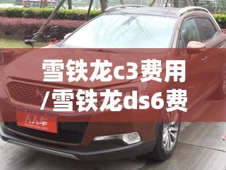 雪铁龙c3费用/雪铁龙ds6费用及图片