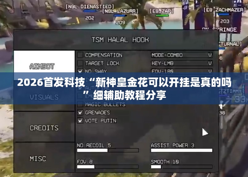 2026首发科技“新神皇金花可以开挂是真的吗”细辅助教程分享