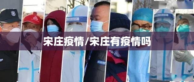 宋庄疫情/宋庄有疫情吗