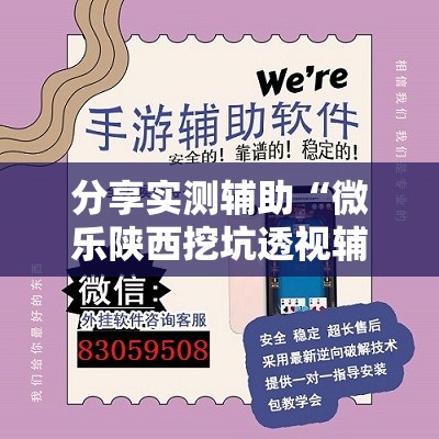 分享实测辅助“微乐陕西挖坑透视辅助软件	”开挂详细教程