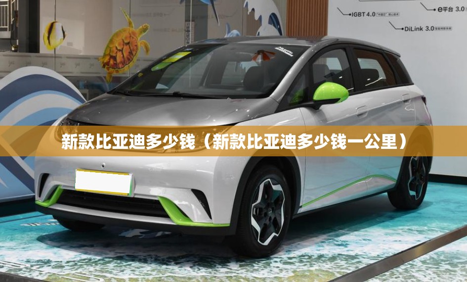 新款比亚迪多少钱（新款比亚迪多少钱一公里）