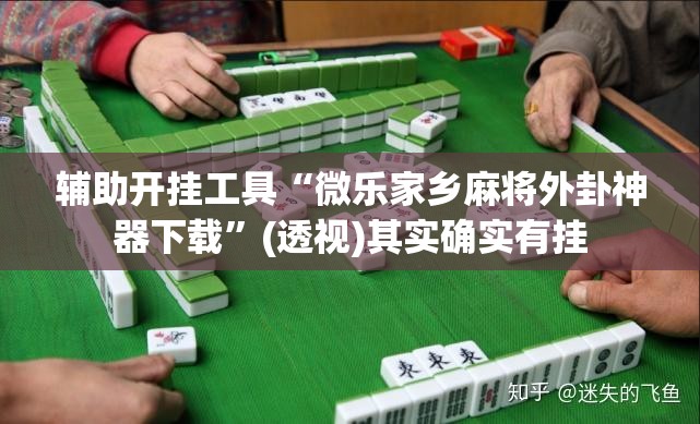 辅助开挂工具“微乐家乡麻将外卦神器下载”(透视)其实确实有挂