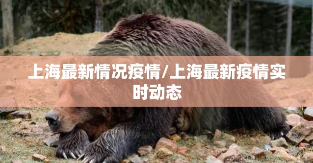 上海最新情况疫情/上海最新疫情实时动态