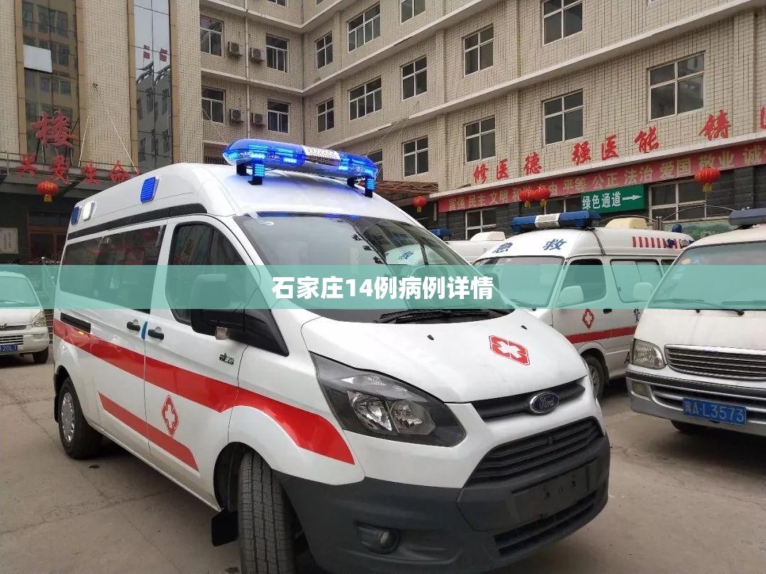 石家庄14例病例详情/石家庄14例新型冠状病毒轨迹 石家庄14例病例详情/石家庄14例新型冠状病毒轨迹