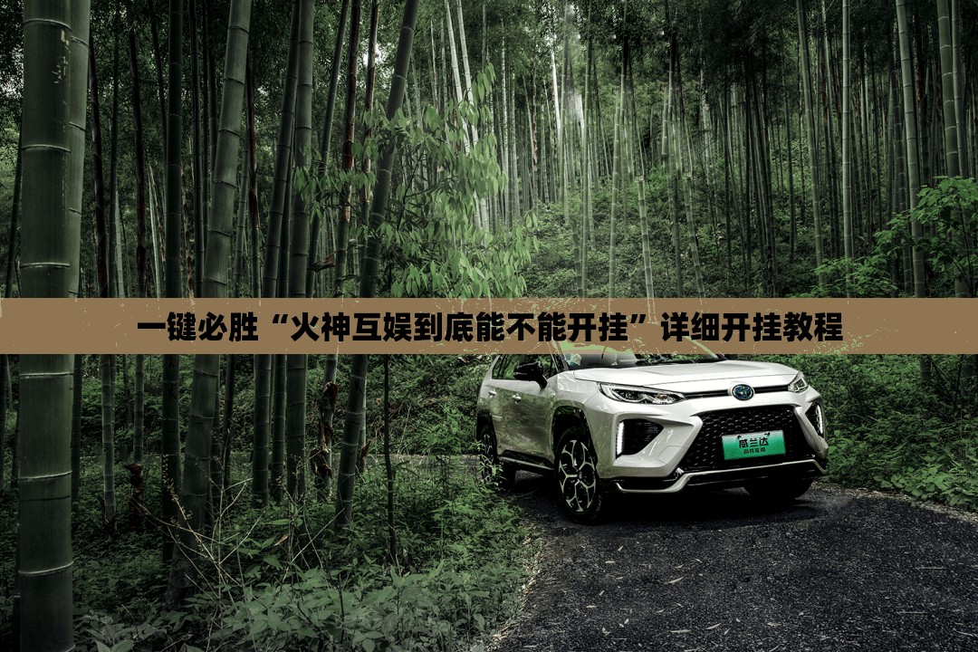 一键必胜“火神互娱到底能不能开挂”详细开挂教程