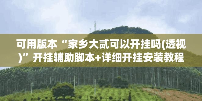 可用版本“家乡大贰可以开挂吗(透视)”开挂辅助脚本+详细开挂安装教程