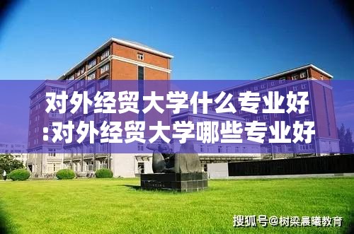 对外经贸大学什么专业好:对外经贸大学哪些专业好