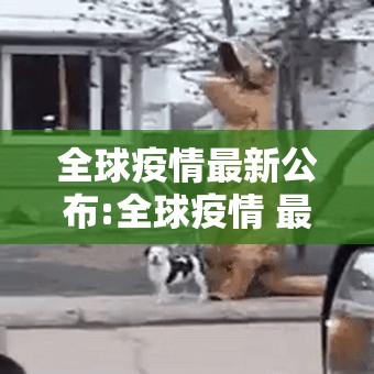全球疫情最新公布:全球疫情 最新 全球疫情最新公布:全球疫情 最新