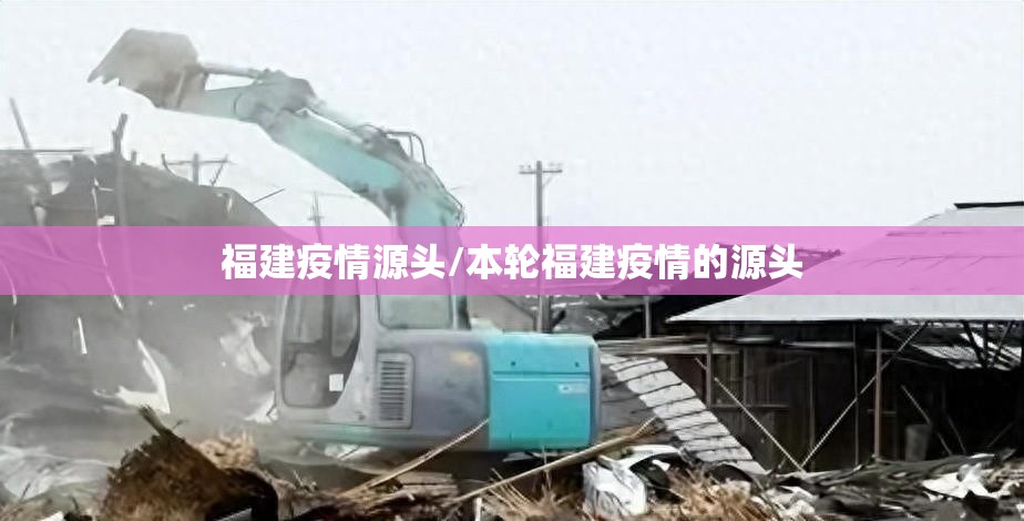 福建疫情源头/本轮福建疫情的源头