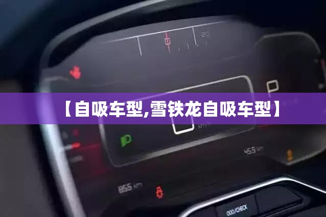 【自吸车型,雪铁龙自吸车型】