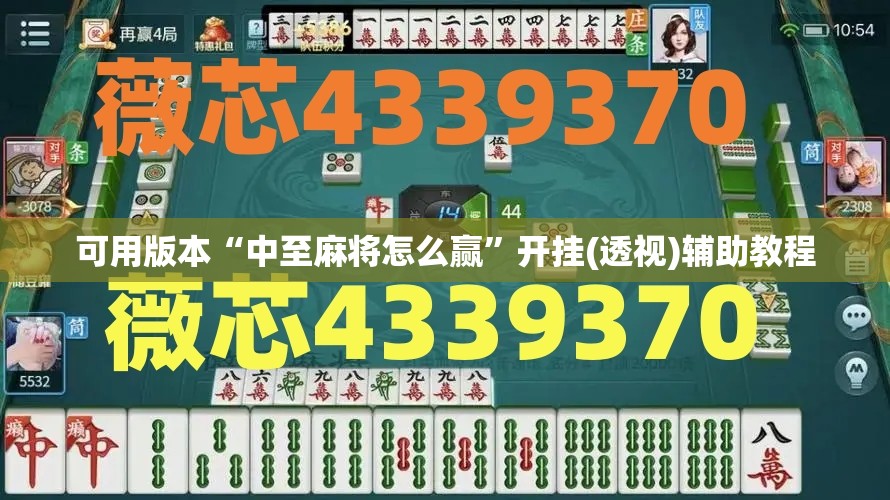 可用版本“中至麻将怎么赢”开挂(透视)辅助教程