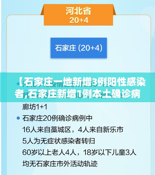 【石家庄一地新增3例阳性感染者,石家庄新增1例本土确诊病例行动轨迹】