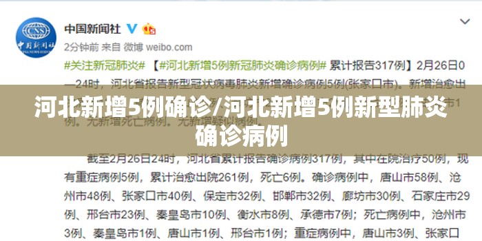 河北新增5例确诊/河北新增5例新型肺炎确诊病例 河北新增5例确诊/河北新增5例新型肺炎确诊病例
