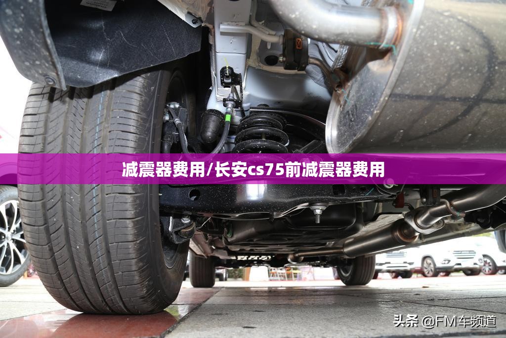 减震器费用/长安cs75前减震器费用