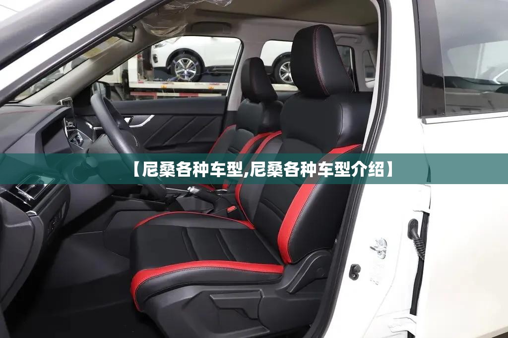 【尼桑各种车型,尼桑各种车型介绍】