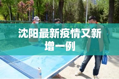 【沈阳最新疫情又新增一例/沈阳最新疫情病例】